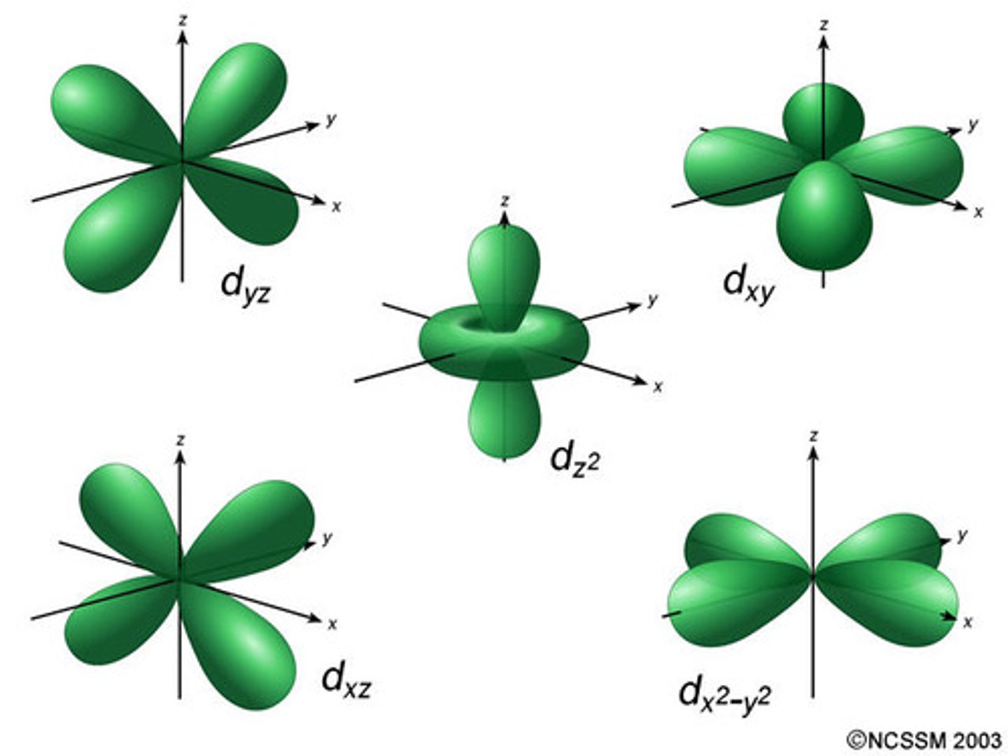 <p>5 orbitals; third to fill for any energy level; first found in the third energy level</p>