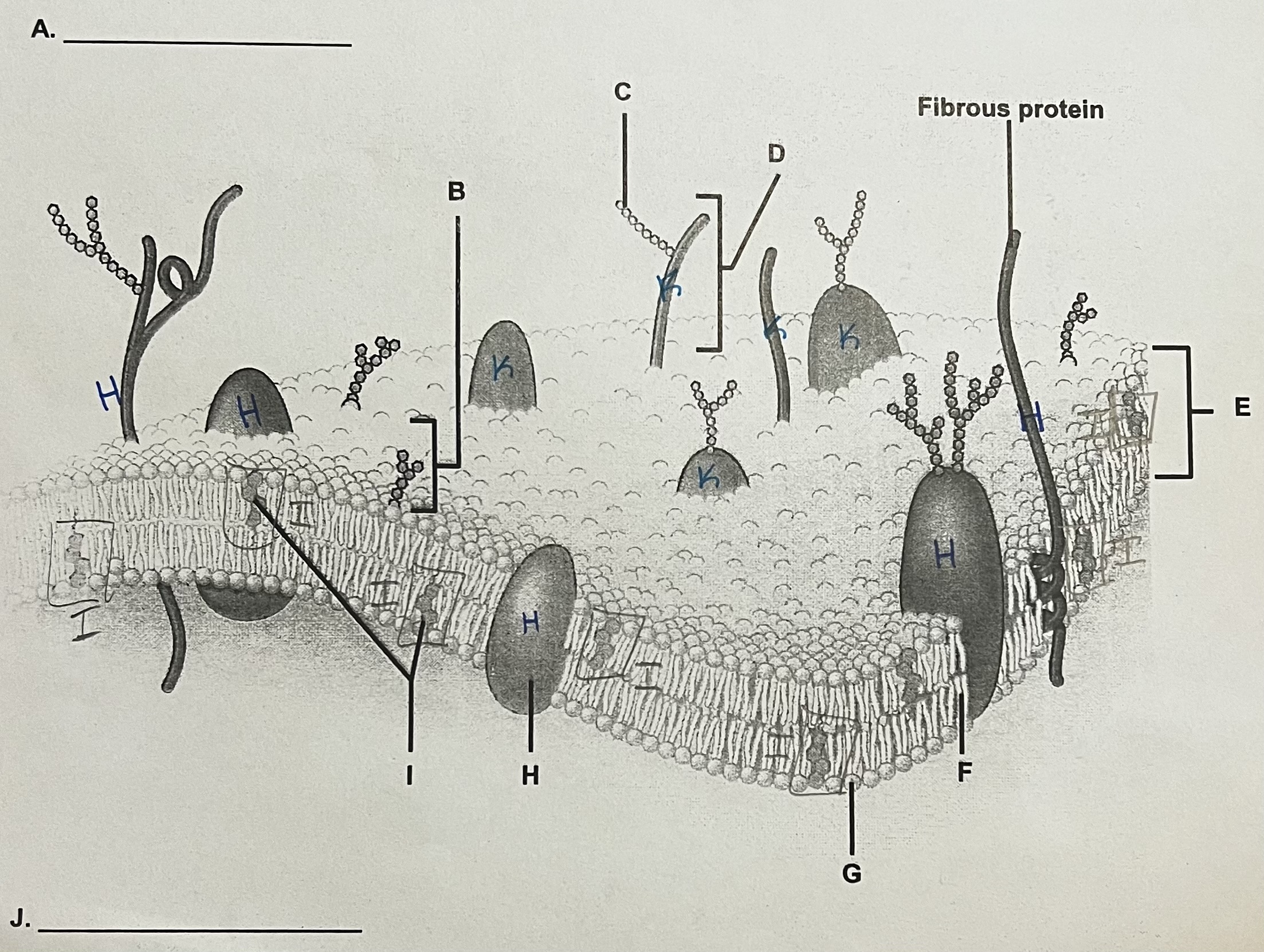 <p>G?</p>