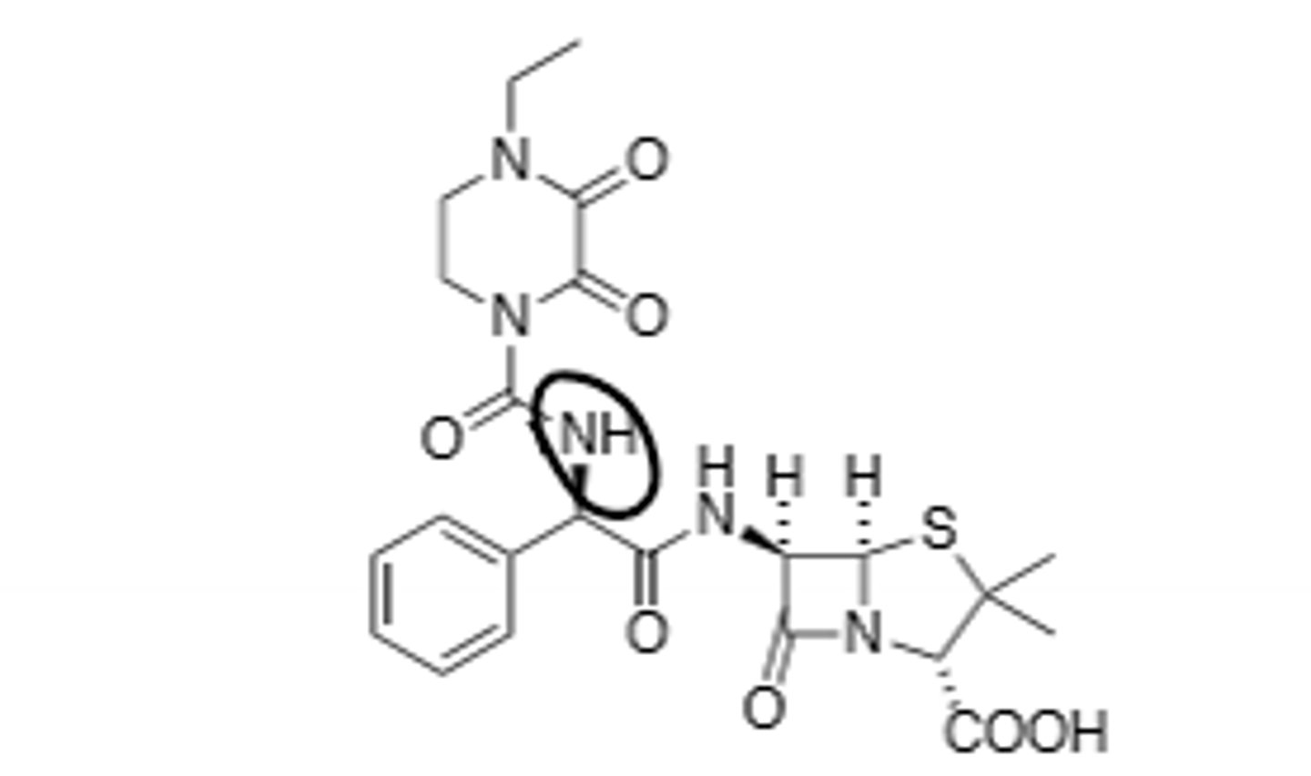<p>Penicillin, B-Lactamase Sensitive, Broad Spectrum (Side Chain expands spectrum), IV only</p>