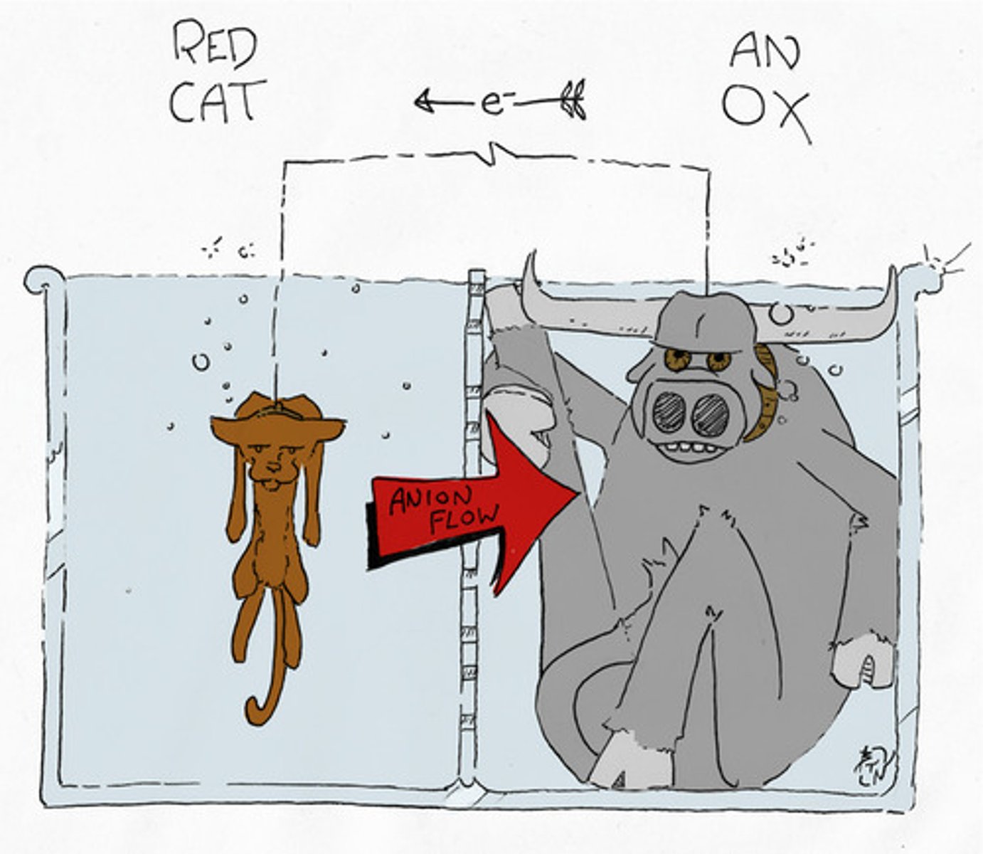 <p>True. Whether you are dealing with a Galvanic Cell or an Electrolytic Cell, Oxidation always occurs at the Anode and Reduction always occurs at the Cathode.</p>