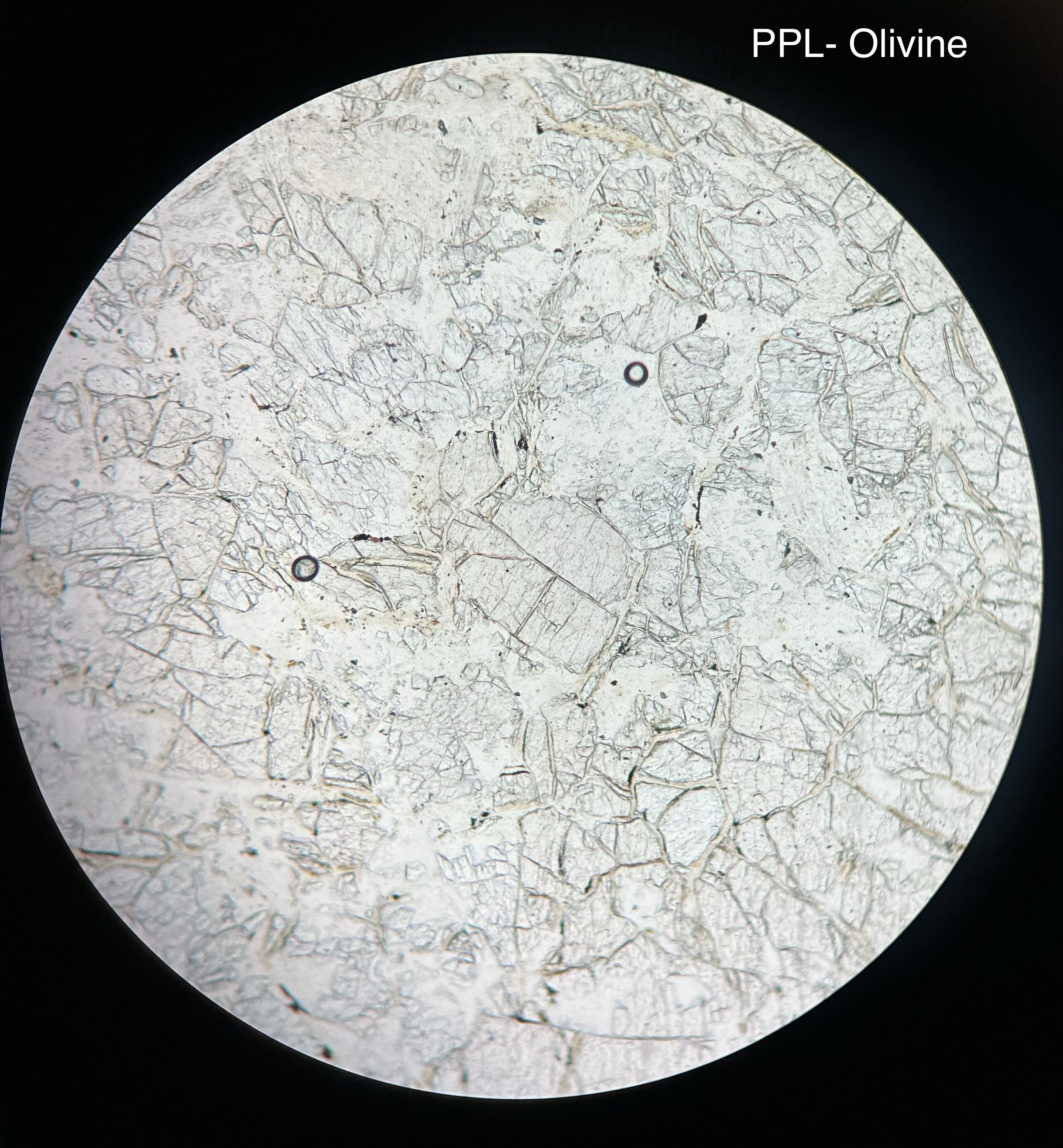 <p>olivine under the microscope</p>