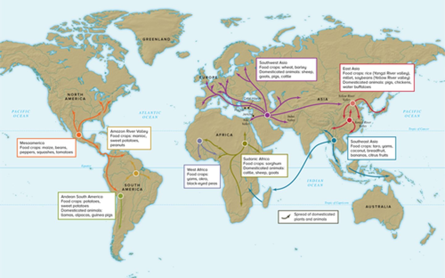<p>Change from hunter-gatherer lifestyle to agricultural lifestyle. Originated in the Fertile Crescent.</p>