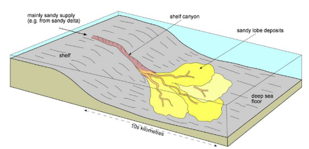 <ul><li><p>submarine fans are the largest sedimentary deposits on earth</p></li><li><p>they are the final resting place for any particle that has been eroded from a higher area</p></li><li><p>the process occuring in these deep water conditions were a mystery until very recently</p></li><li><p>they pose a major risk to submarine infrastructure</p></li></ul><p>e.g. bay of bengal fan underneath india</p><p></p>