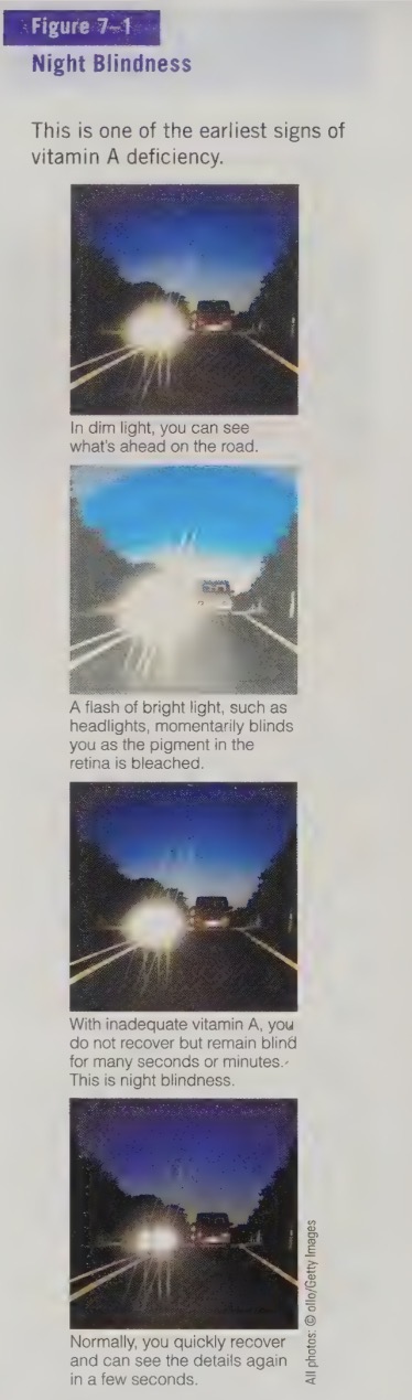 <p>vitamin a functions with vision</p>