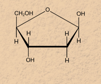 <p>Which structure is this?</p>