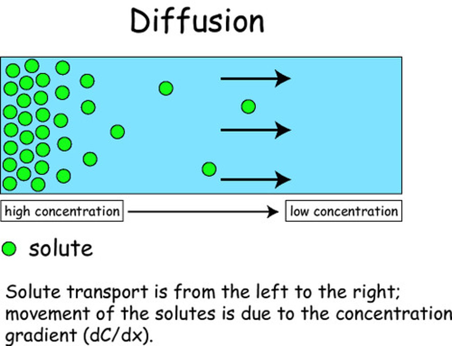 <p>A difference in the concentration of a substance across a distance.</p>