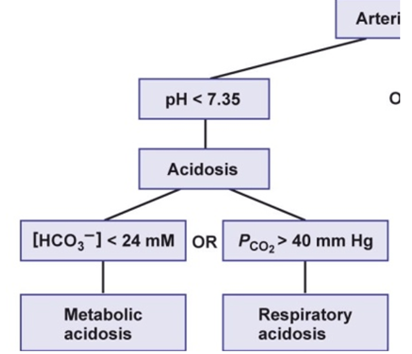 <p>hypoventilation</p>