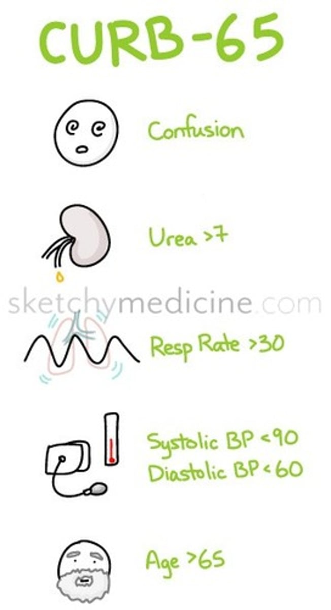 <p>v. nhập viện</p>