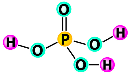 <p>phosphoric acid </p><ul><li><p>denoted as Pi </p></li></ul><p></p>