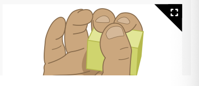 <p>Can hold an object between fingers and opposing thumb (<span>radial </span>palmar grasp<span>)</span></p>