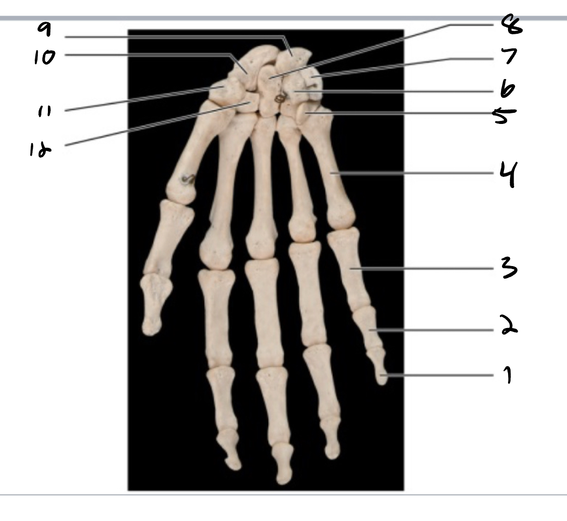 <p>10</p>