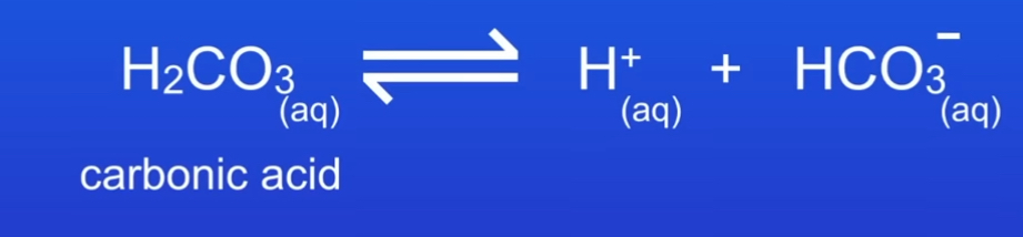 <p>When arrows go both ways </p>