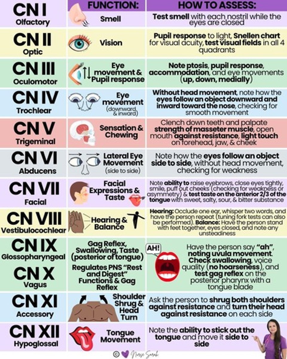 <p>Includes pupil examination for constriction and response, affecting cranial nerve III.</p>
