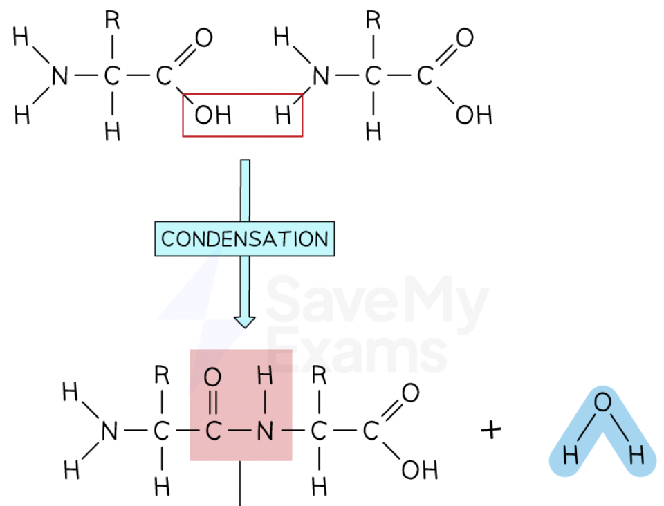 <p>What bond does this image show?</p>