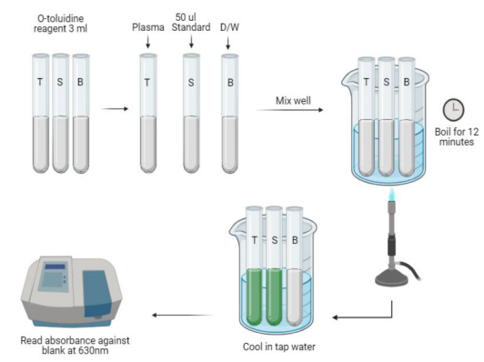 <p>Condensation Method (1)</p><ul><li><p>The proteins are first precipitated by <span style="color: yellow">tricholoroacetic acid.</span></p></li><li><p>The glucose present in a protein free filtrate react with O-toluidine (primary aromatic amine) in a hot acidic medium to form a <span style="color: red">stable green colored complex, </span>namely <span style="color: red">N-glycosamine.</span></p></li><li><p>The intensity of the color developed is measured photometrically at <span style="color: red">630nm,</span> which is <span style="color: yellow">directly proportional</span> to the concentration of the glucose present in the fluid.</p></li><li><p>Condensation of Carbohydrates with aromatic amines producing<span style="color: yellow"> Schiff’s Bases (green)</span></p><ul><li><p><span style="color: green">Cyanide reagent - Sir Marky </span></p></li></ul></li></ul><p></p>