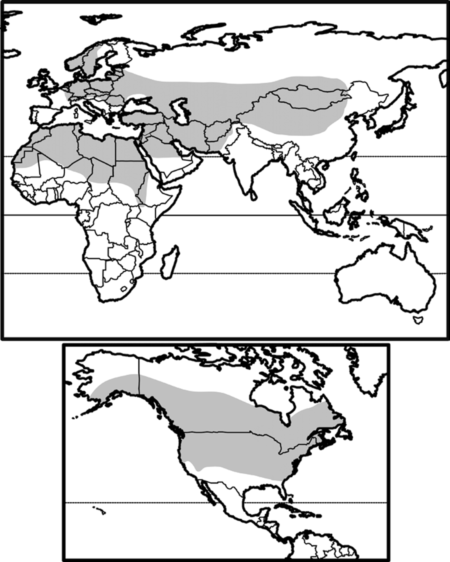 north africa and central asia