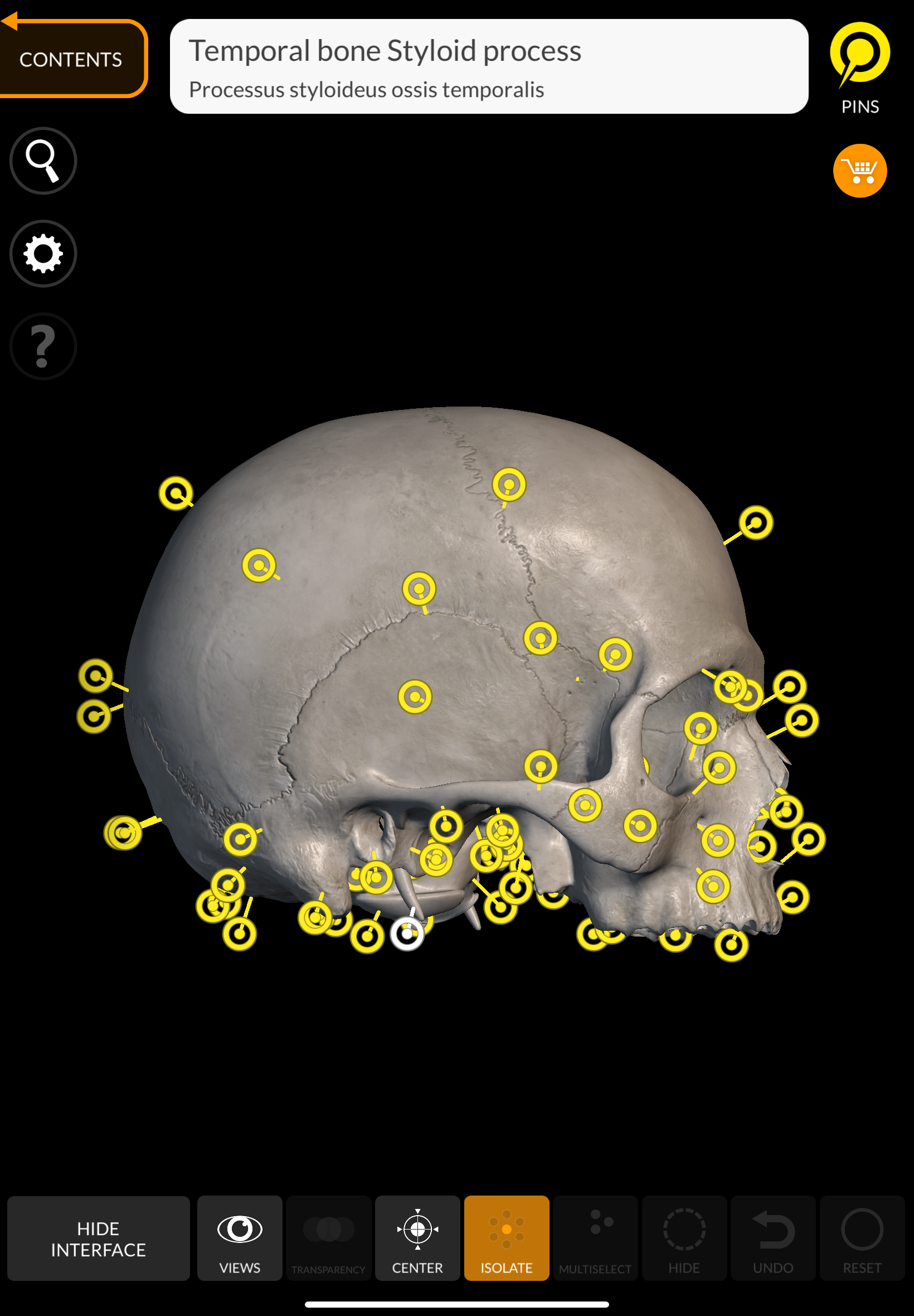 knowt flashcard image