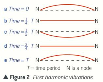 <p>The first harmonic (or the fundamental mode of vibration)</p>