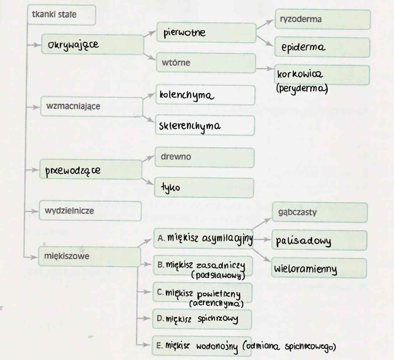 knowt flashcard image