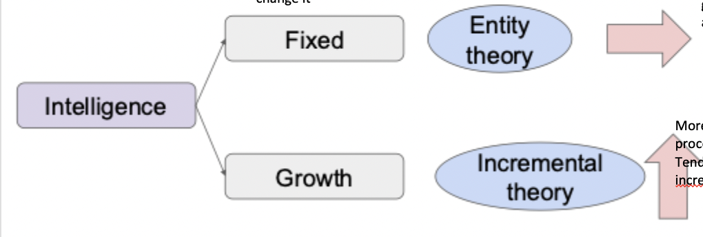 <ul><li><p>what we believe about our own intelligence has an influence too</p></li><li><p>fixed mindset: entity theory</p></li><li><p>growth mindset: incremental theory</p></li></ul><p></p>