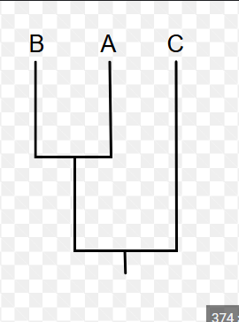 <p>In the diagram to the right, A and C would make a </p>