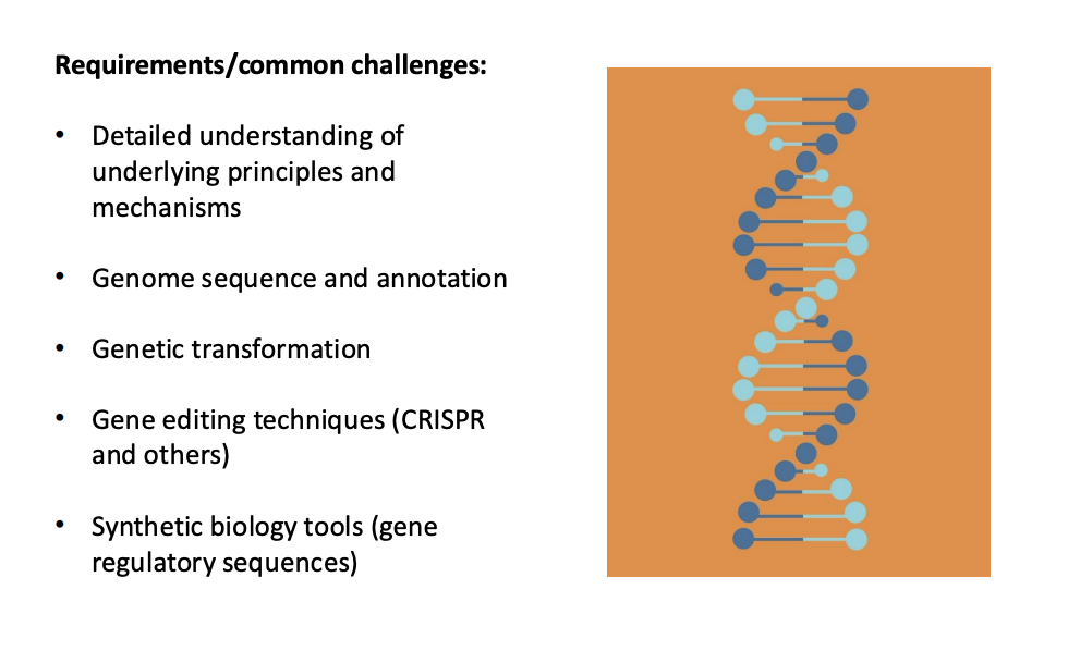 <ul><li><p>requires in-depth understanding of biological systems involved</p></li><li><p>adanved technologyies</p></li><li><p>synthetic biology tools</p></li><li><p>comprehensive genomic data of crop plants</p></li></ul><p></p>