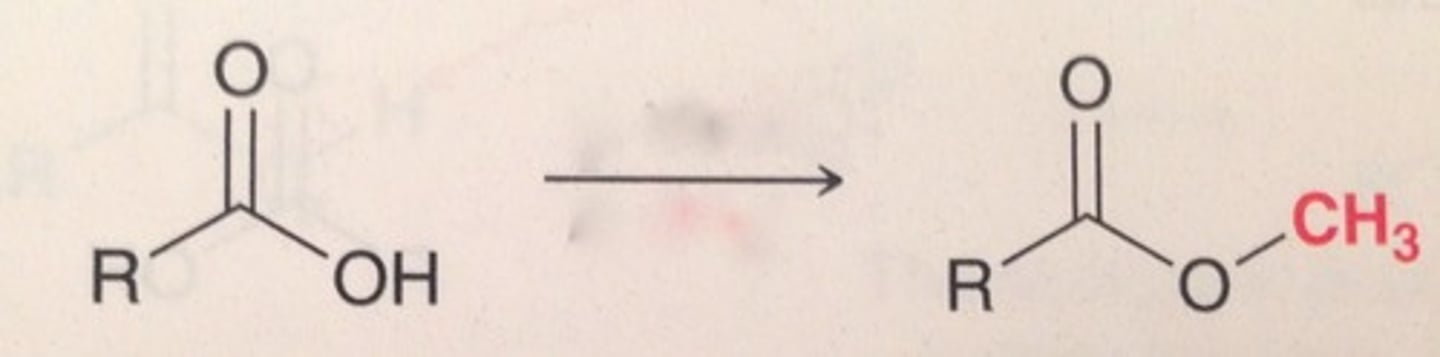 <p>carboxylic acid to ester</p>
