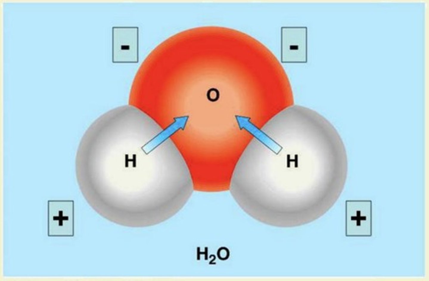 <p>Water is a good solvent because its polarity allows it to dissolve both ionic bonds and other polar molecules.</p>