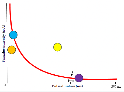 <p>which dot(s) depolarize</p>