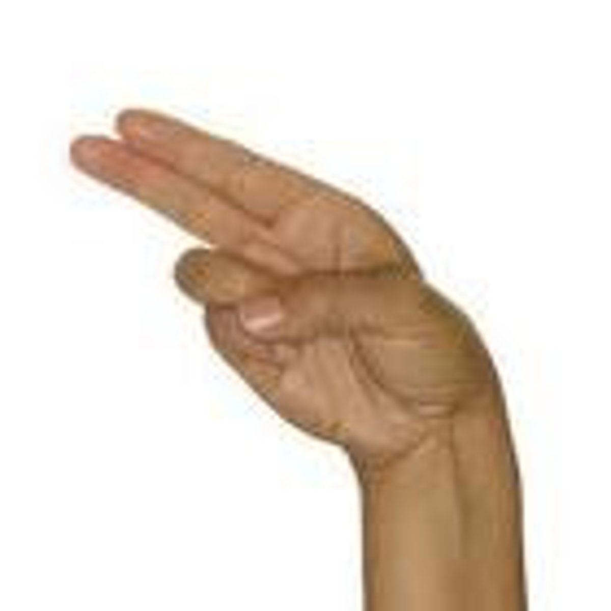 <p>Ring and little finger are folded down. Thumb is folded over ring and little finger. Index finger and middle finger are straight and together. The hand is tilted over so that the fingers are horizontal and pointing to the left.</p>