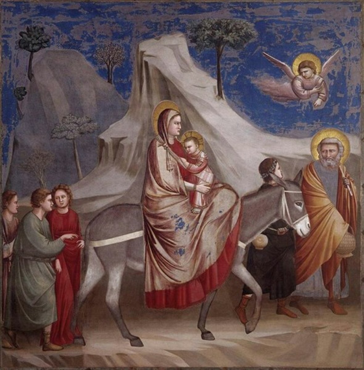 knowt flashcard image