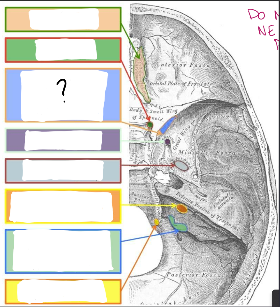 term image