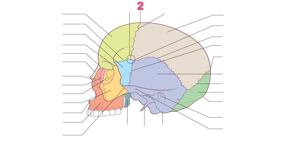 <p>02</p>