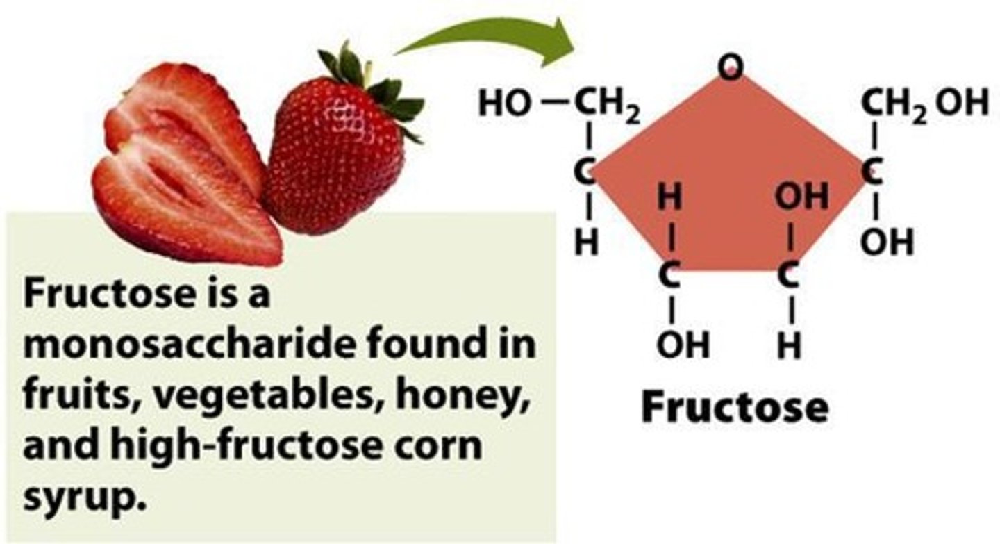 <p>Sweeter sugar found in fruits and honey.</p>