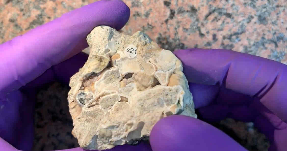 <p>what rock add heat and pressure </p><p>hint big clasts </p>