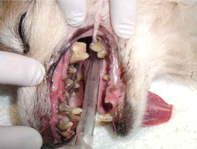 <p>What is this showing?</p>