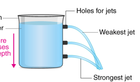 <p>the force exerted by a fluid due to gravitational pull, usually against the wall of the container its in</p>