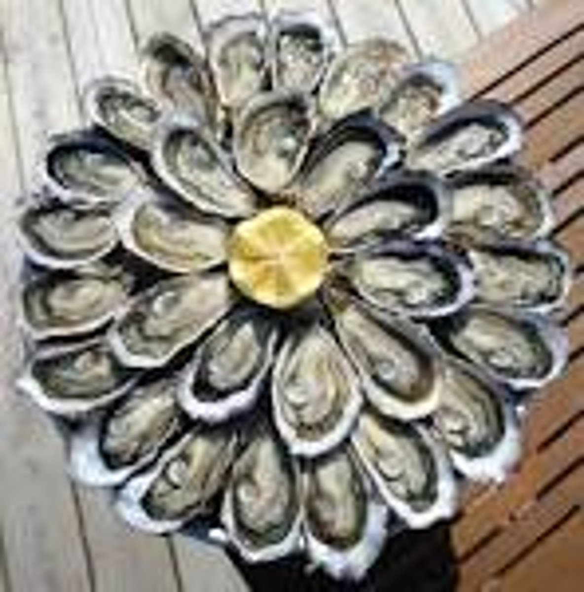 <p>oysters</p>