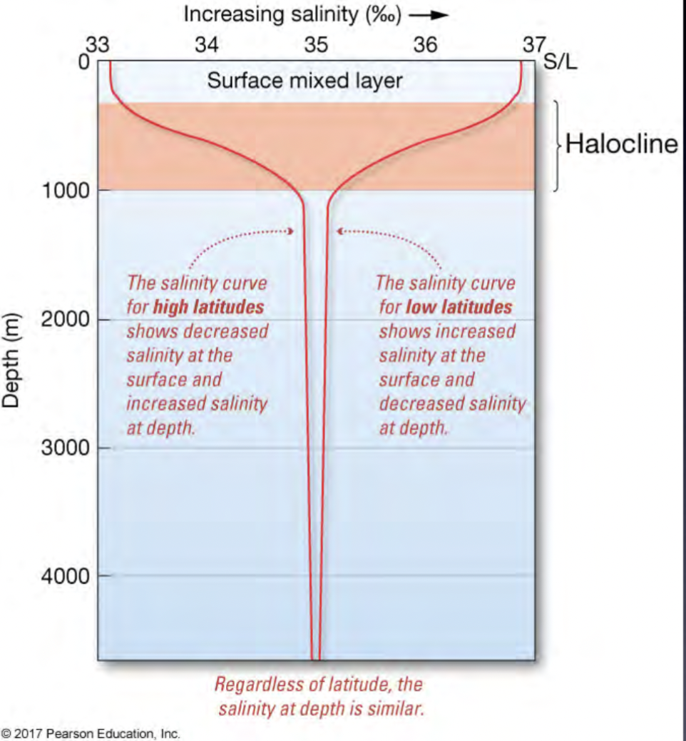 <p>Layer of rapidly changing salinity with depth</p>