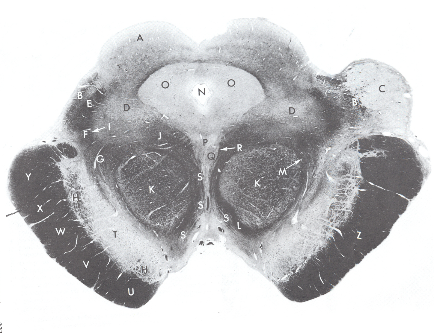 <p>e</p>