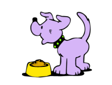 <p>darle de comer al mascota</p>