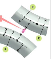 <p>a type of non-covalent interaction</p><p>the electromagnetic attractive interaction of a H atom (electron-poor) and an electronegative atom (e.g. N, O, or F) that is present in another molecule or chemical group</p><p>depicted in red/pink</p>