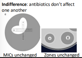 <p>antibiotics don’t affect one another</p>