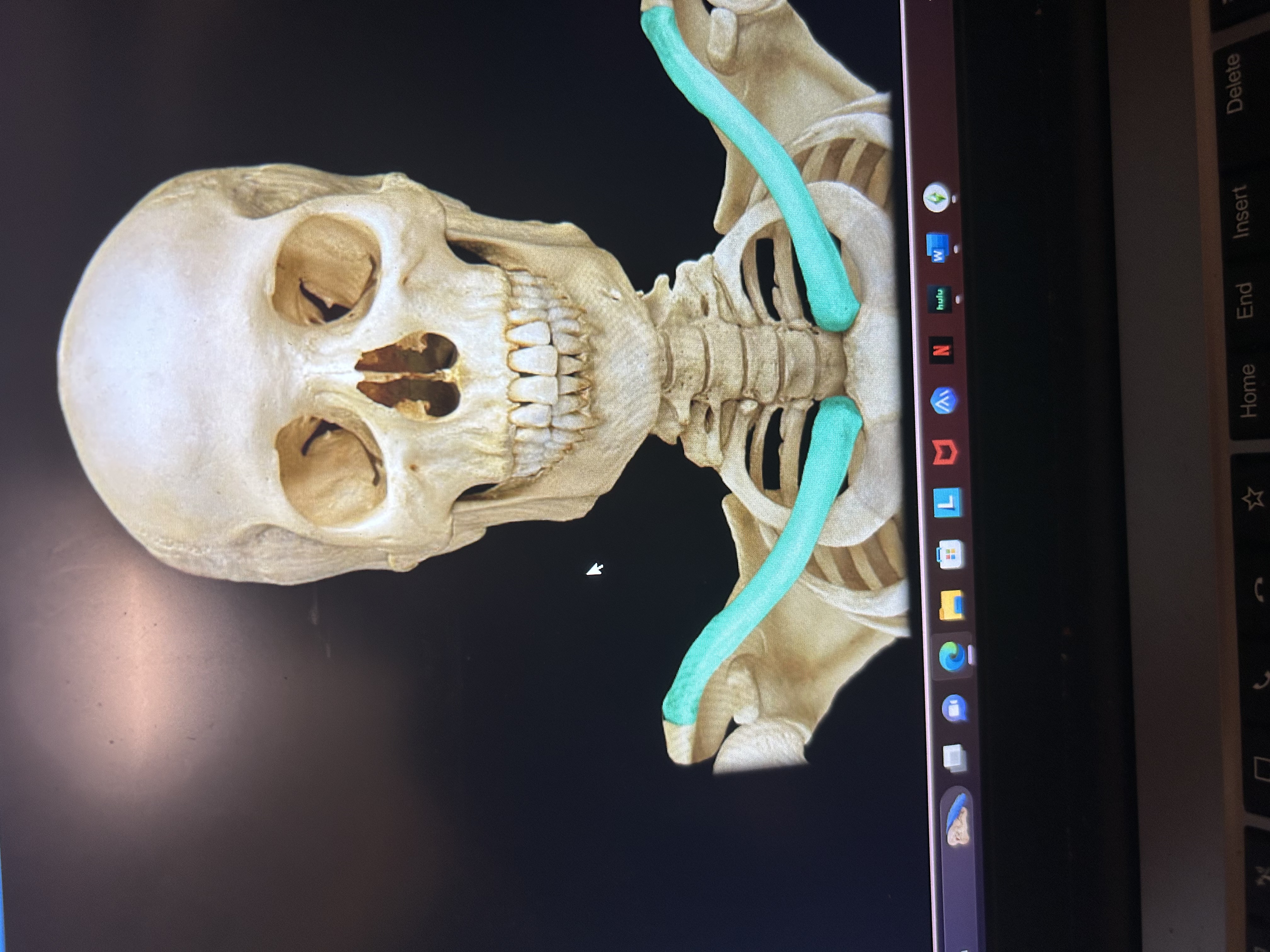 knowt flashcard image