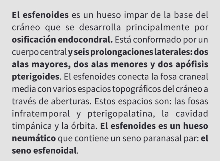 <p>Hueso esfenoide</p>