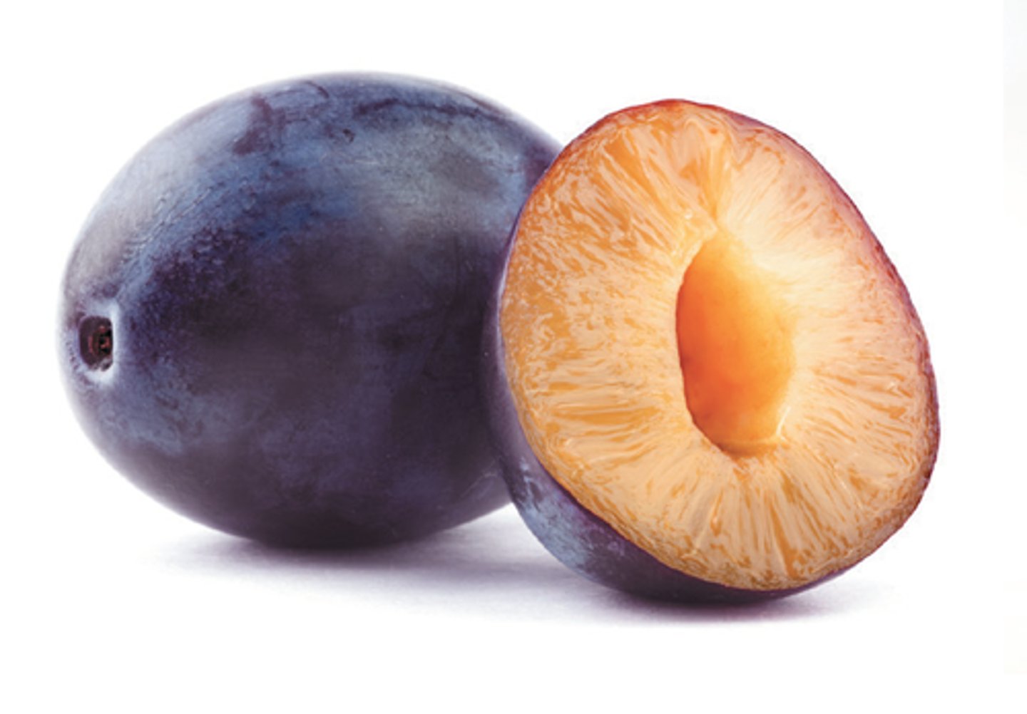 <p>PRUNO</p>