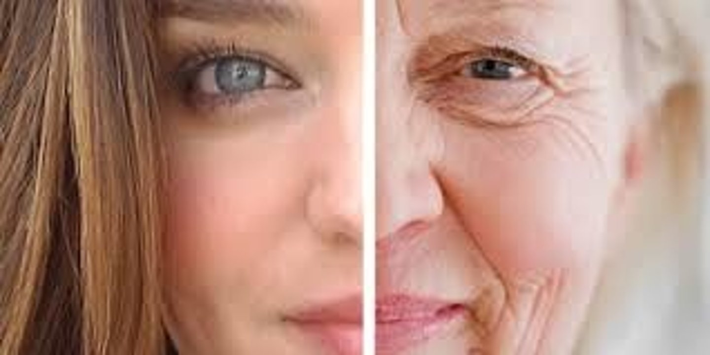 <p>process of aging</p>