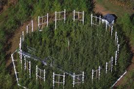 <p>Scientists can test how carbon dioxide affects photosynthesis and plant growth in small, easy-to-control laboratory experiments. However, large-scale experiments are valuable because it shows the effect of increasing atmospheric carbon dioxide levels (even though they are harder to control). Some experiments can only be done in the field. </p>