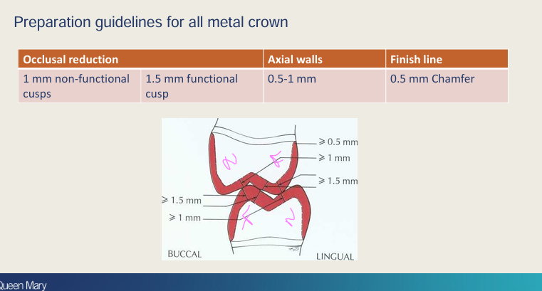 <p>Palatal on the upper is functional - it is occluding on both sides - greater loads</p><p><strong>Also bevel the functional cusp</strong></p>