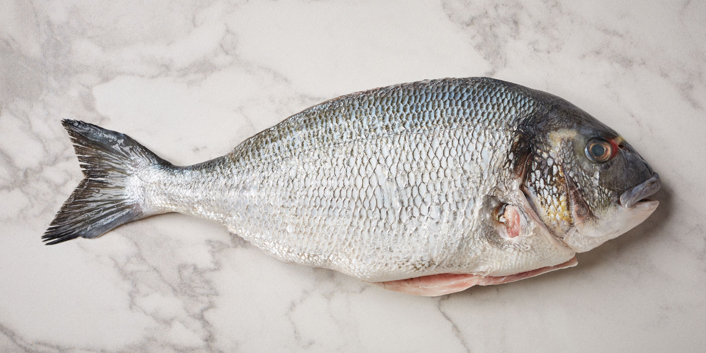 <p>sea bream</p>
